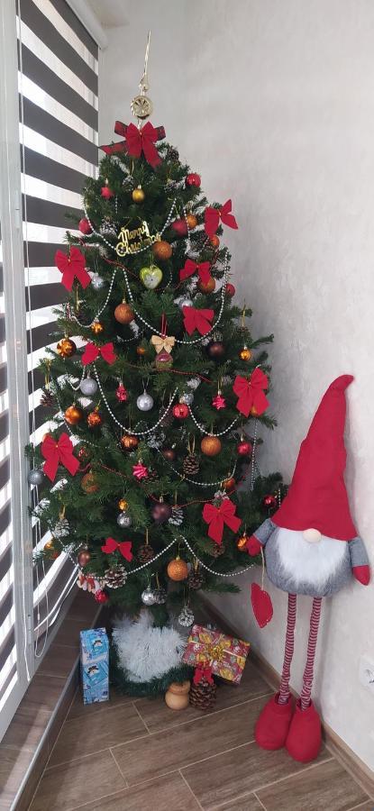 Apartment Velvita Sliven